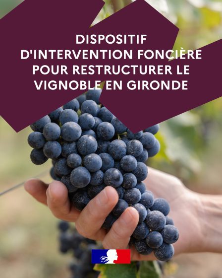 [Foncière viticole] Identification de parcelles à vendre