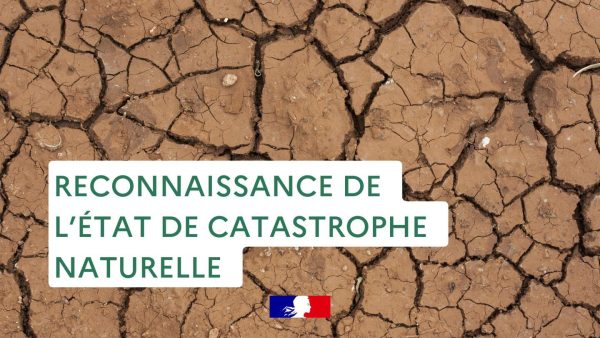 Reconnaissance de l’état de catastrophe naturelle pour la commune de Gensac
